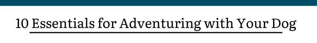 10 Essentials for Adventuring with Your Dog